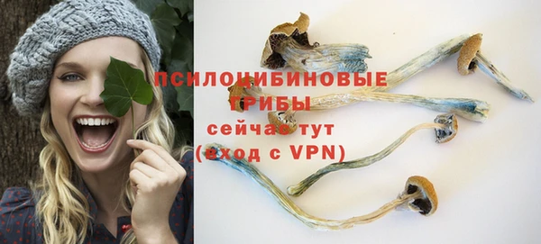 стафф Армянск