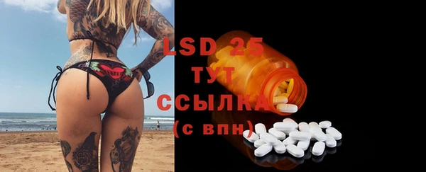 стаф Аркадак