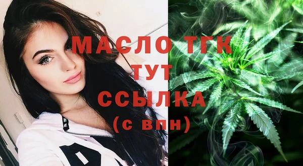 стаф Аркадак