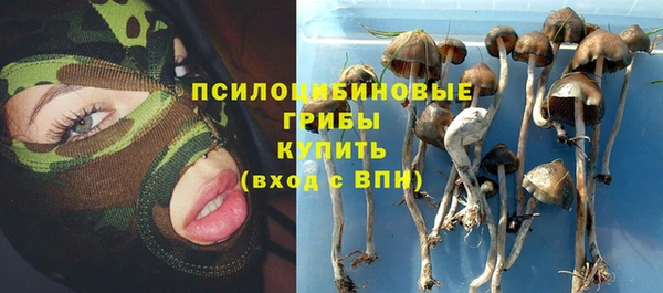 Альфа ПВП Арсеньев