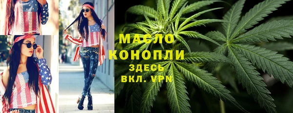 стаф Аркадак