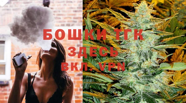 стаф Аркадак