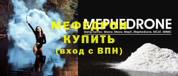 стаф Аркадак