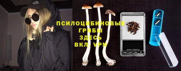 стафф Армянск