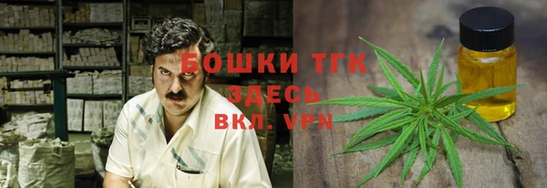 стаф Аркадак
