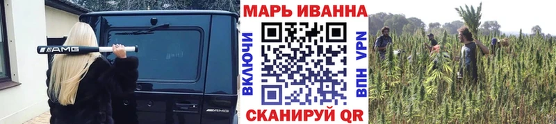 Бошки Шишки планчик  Ахтубинск 